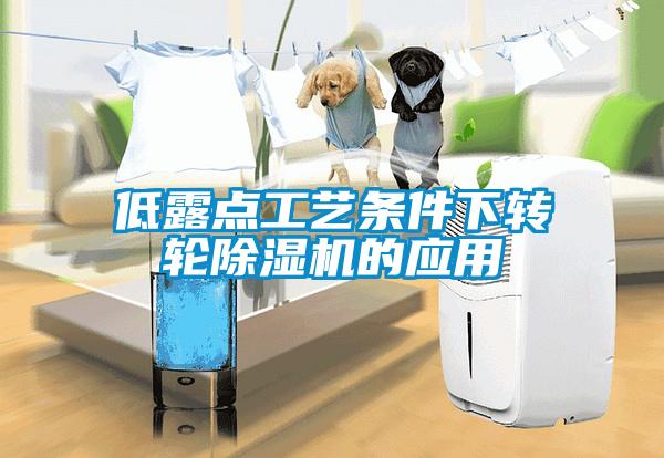 低露点工艺条件下转轮除湿机的应用