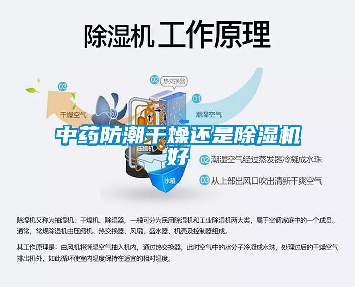中药防潮干燥还是除湿机好
