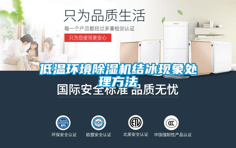 低温环境除湿机结冰现象处理方法