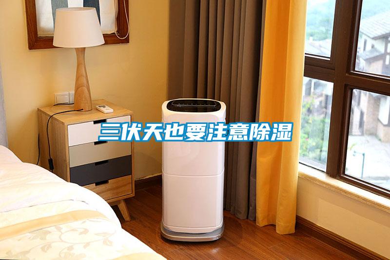 三伏天也要注意除湿