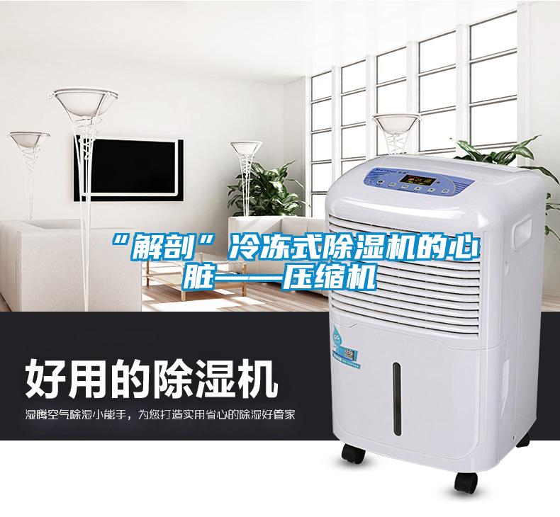 “解剖”冷冻式除湿机的心脏——压缩机