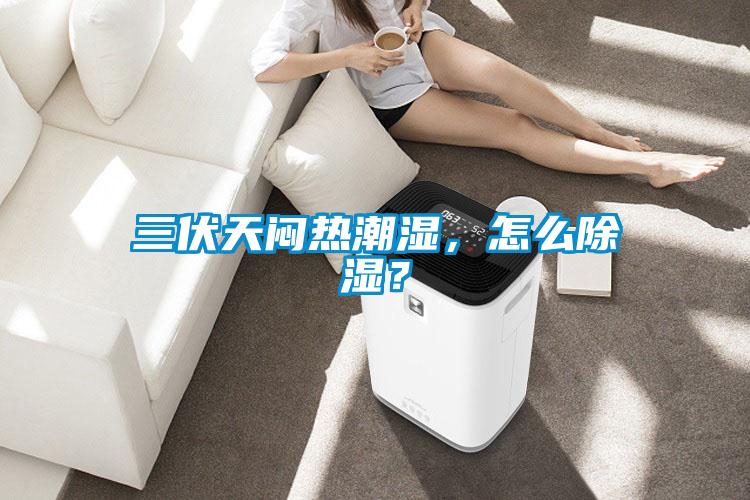 三伏天闷热潮湿，怎么除湿？