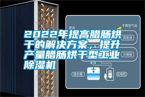 2022年提高腊肠烘干的解决方案，提升产量腊肠烘干型工业除湿机