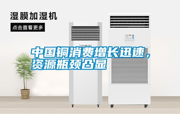 中国铜消费增长迅速，资源瓶颈凸显
