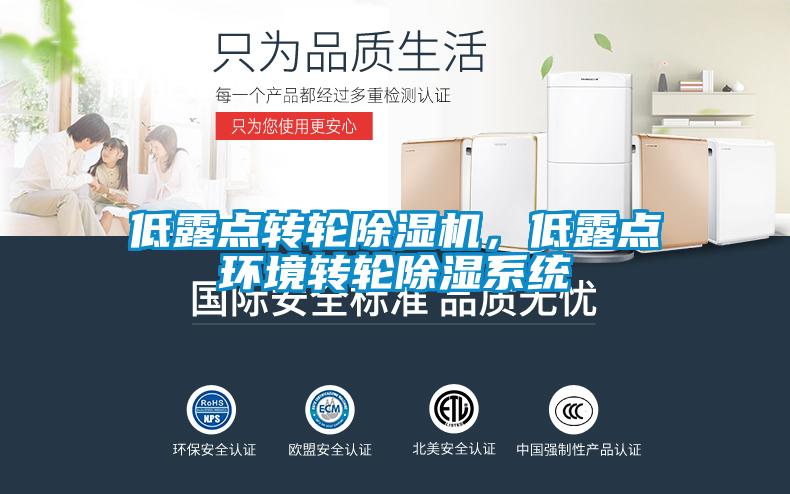 低露点转轮除湿机，低露点环境转轮除湿系统