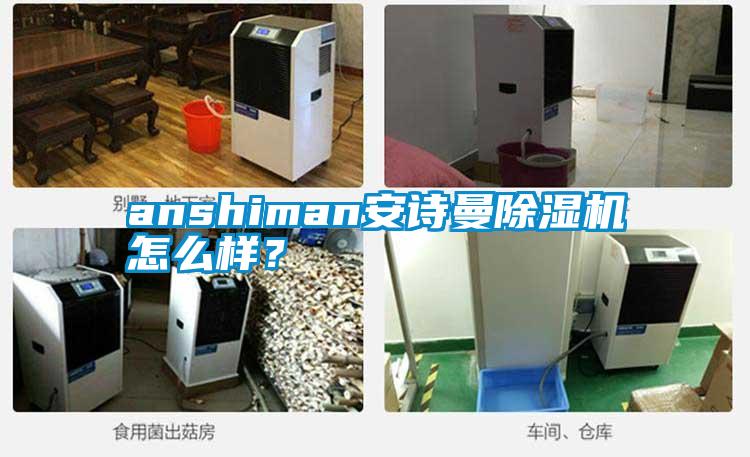 anshiman安诗曼除湿机怎么样？