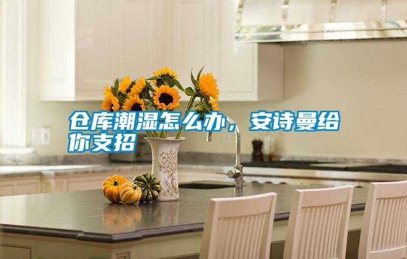 仓库潮湿怎么办，安诗曼给你支招