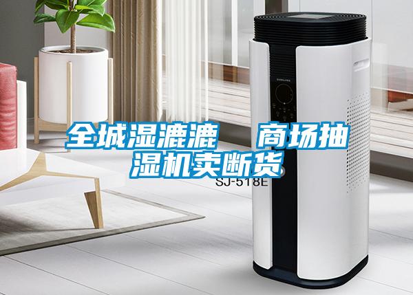 全城湿漉漉  商场抽湿机卖断货
