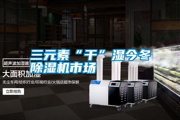 三元素“干”湿今冬除湿机市场