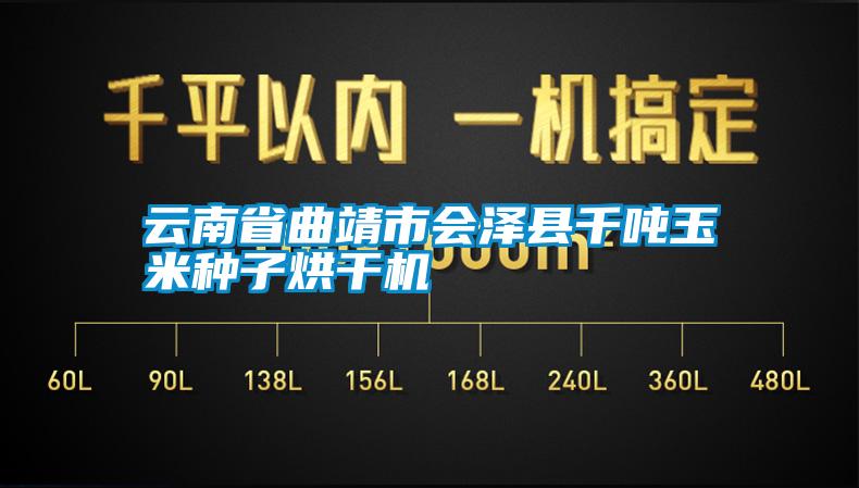 云南省曲靖市会泽县千吨玉米种子烘干机