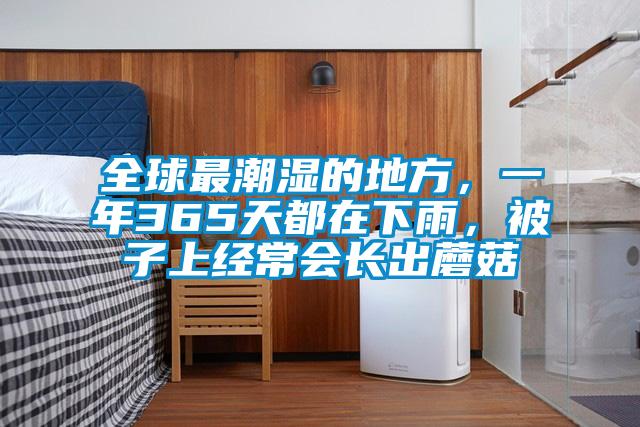 全球最潮湿的地方，一年365天都在下雨，被子上经常会长出蘑菇