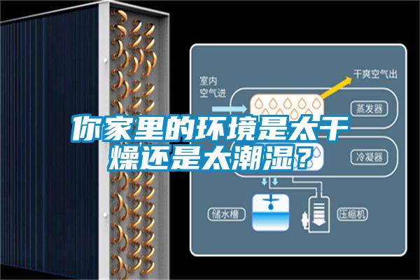 你家里的环境是太干燥还是太潮湿？