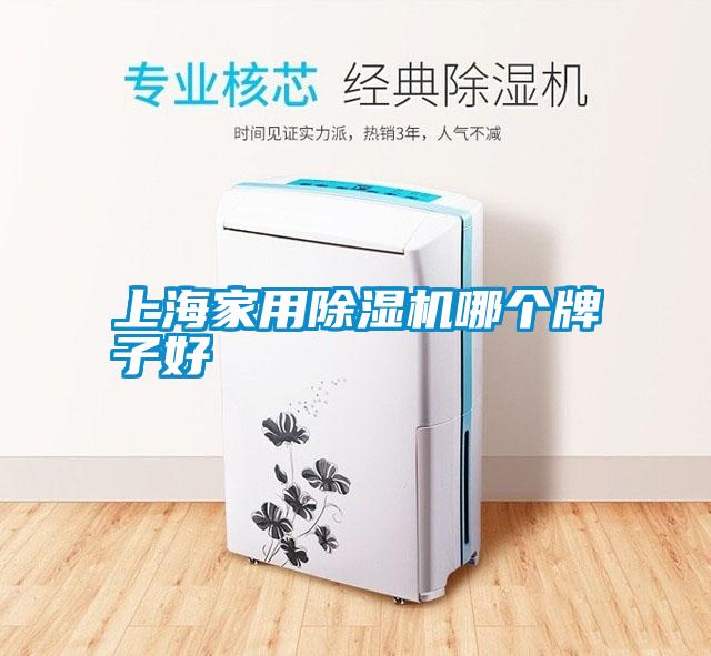 上海家用除湿机哪个牌子好
