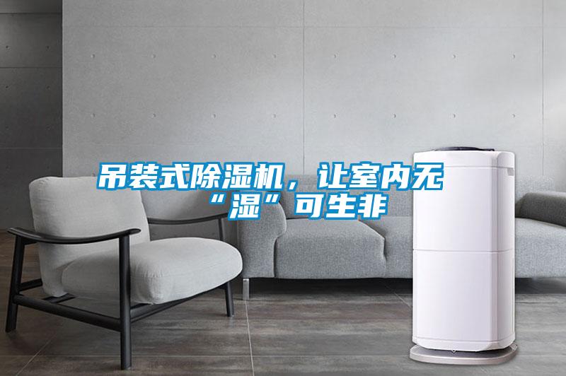 吊装式除湿机，让室内无“湿”可生非