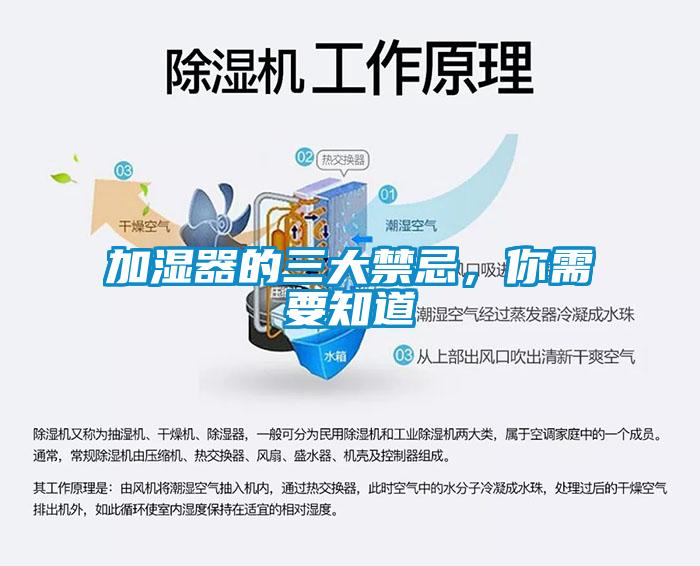 加湿器的三大禁忌，你需要知道