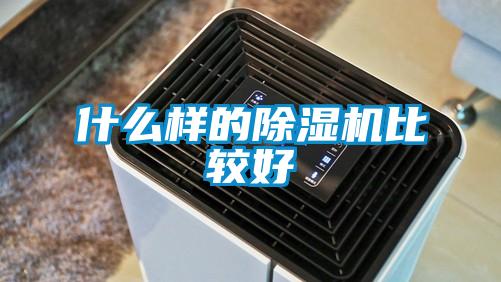 什么样的除湿机比较好