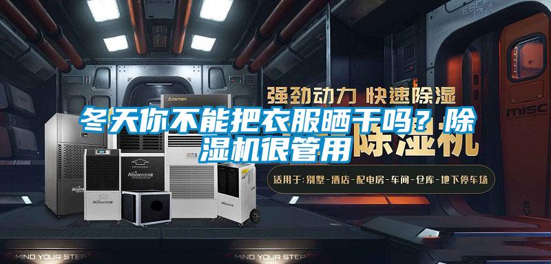 冬天你不能把衣服晒干吗？除湿机很管用