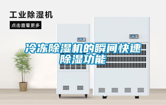 冷冻除湿机的瞬间快速除湿功能