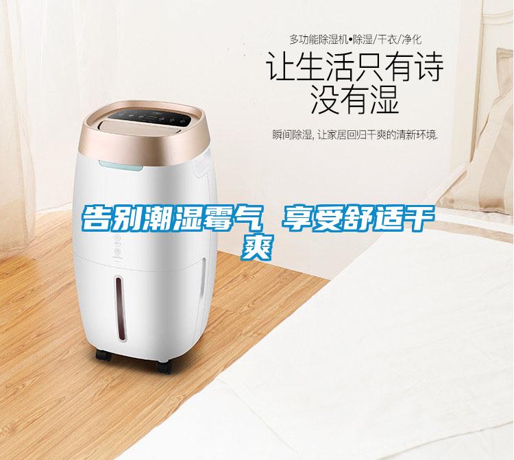 告别潮湿霉气 享受舒适干爽