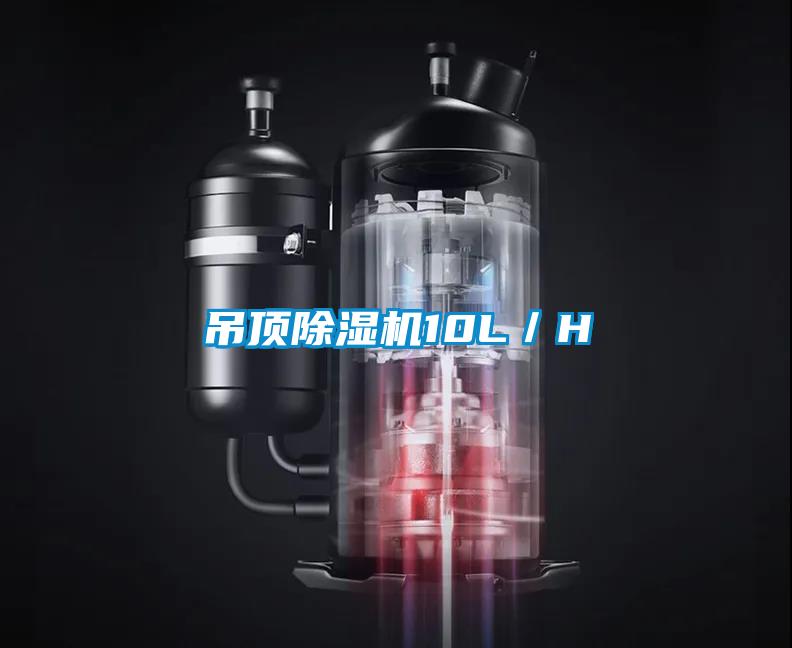 吊顶除湿机10L/H