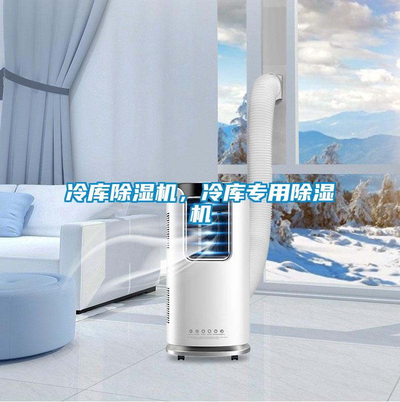 冷库除湿机，冷库专用除湿机