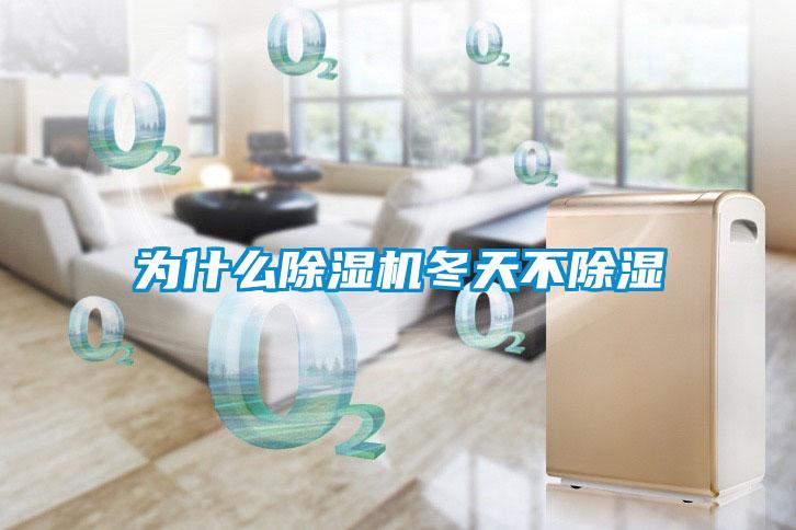 为什么除湿机冬天不除湿