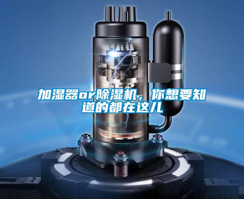 加湿器or除湿机,你想要知道的都在这儿