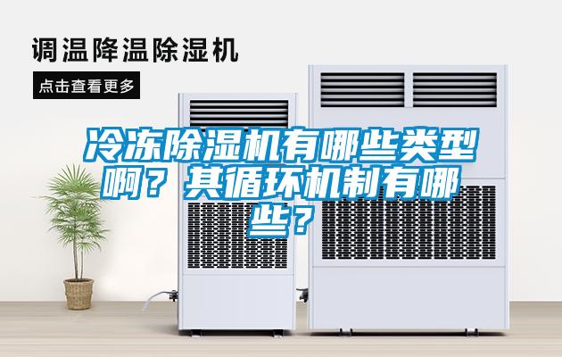 冷冻除湿机有哪些类型啊？其循环机制有哪些？
