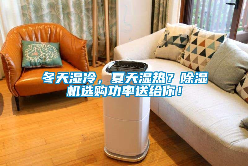 冬天湿冷，夏天湿热？除湿机选购功率送给你！