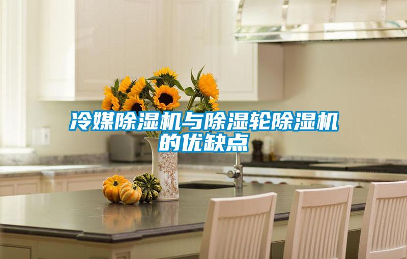 冷媒除湿机与除湿轮除湿机的优缺点