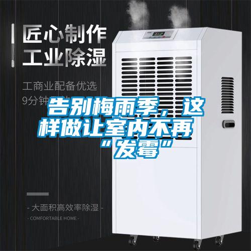告别梅雨季，这样做让室内不再“发霉”