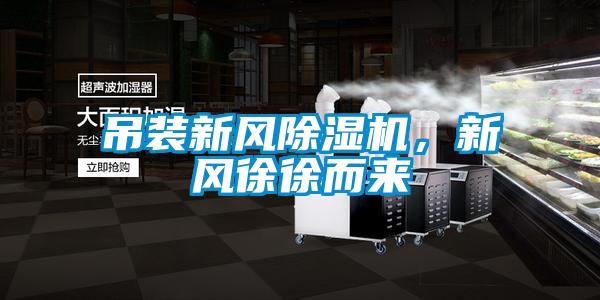 吊装新风除湿机，新风徐徐而来
