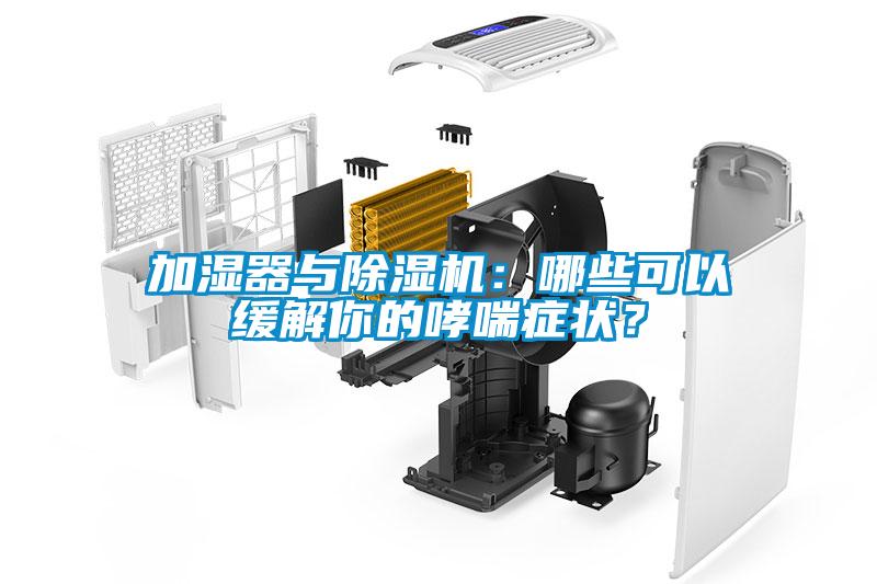 加湿器与除湿机：哪些可以缓解你的哮喘症状？