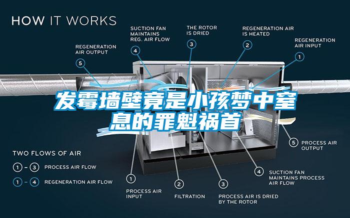 发霉墙壁竟是小孩梦中窒息的罪魁祸首
