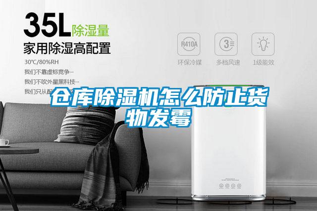 仓库除湿机怎么防止货物发霉