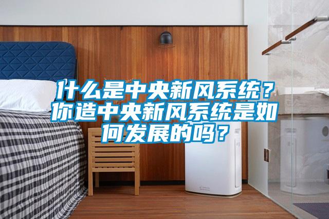 什么是中央新风系统？你造中央新风系统是如何发展的吗？