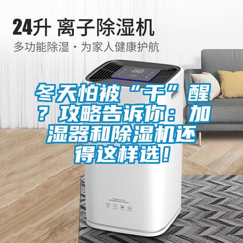 冬天怕被“干”醒？攻略告诉你：加湿器和除湿机还得这样选！