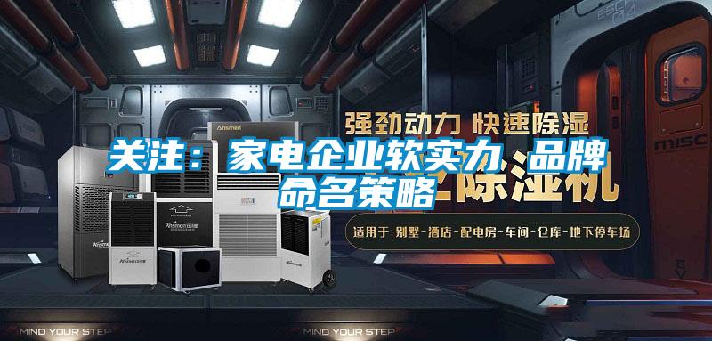 关注:家电企业软实力 品牌命名策略