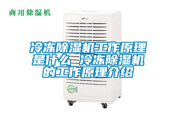 冷冻除湿机工作原理是什么 冷冻除湿机的工作原理介绍