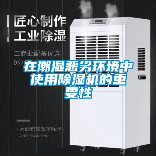 在潮湿恶劣环境中使用除湿机的重要性