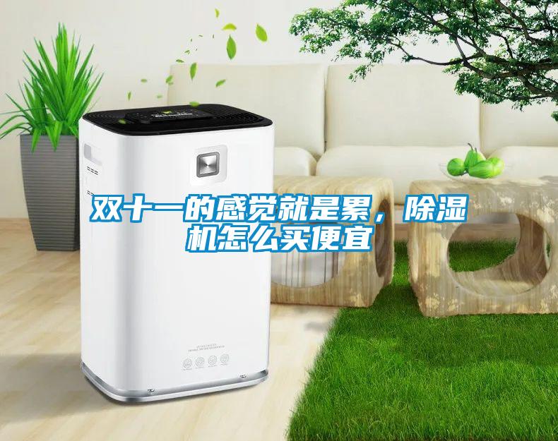 双十一的感觉就是累，除湿机怎么买便宜