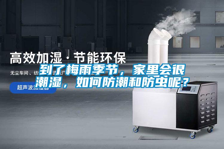到了梅雨季节，家里会很潮湿，如何防潮和防虫呢？