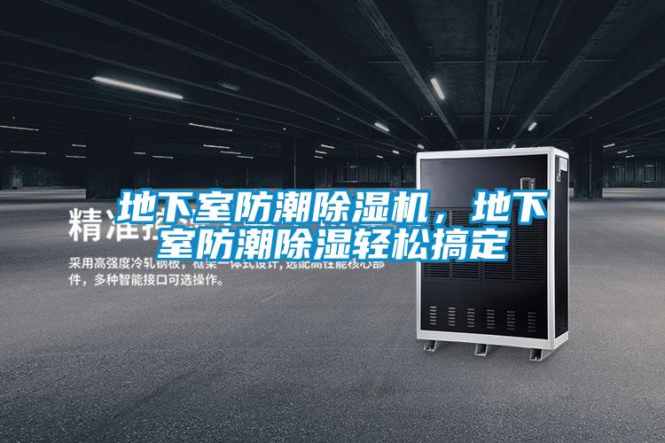 地下室防潮除湿机,地下室防潮除湿轻松搞定