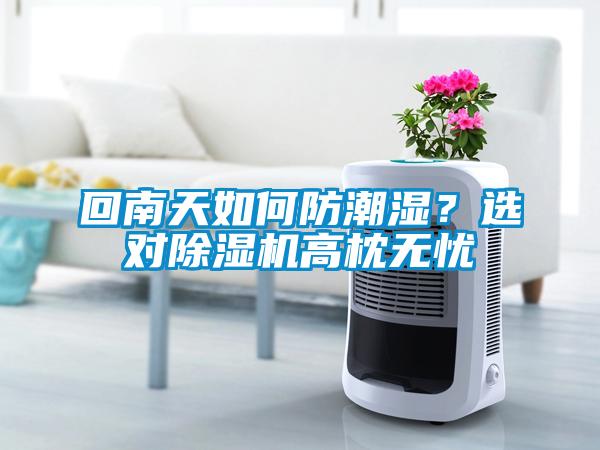 回南天如何防潮湿？选对除湿机高枕无忧