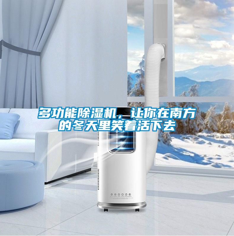 多功能除湿机，让你在南方的冬天里笑着活下去