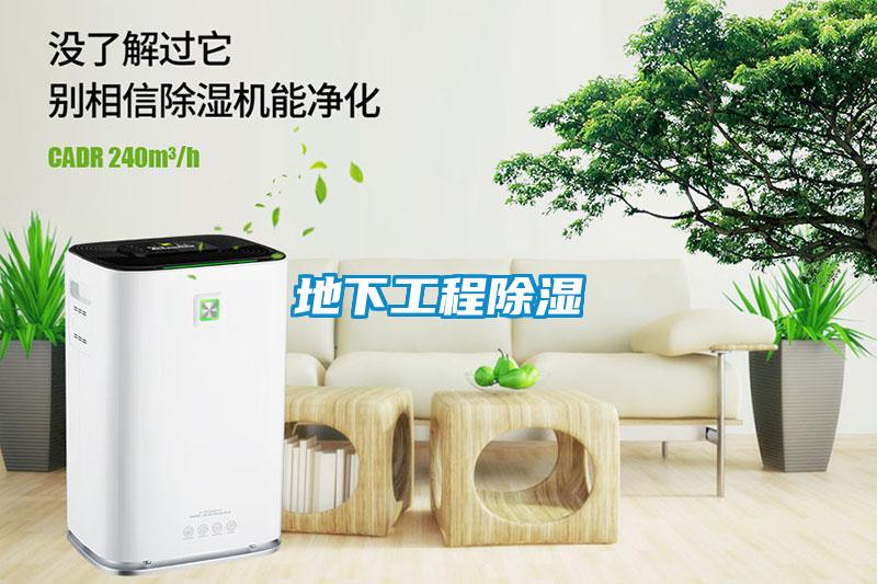地下工程除湿