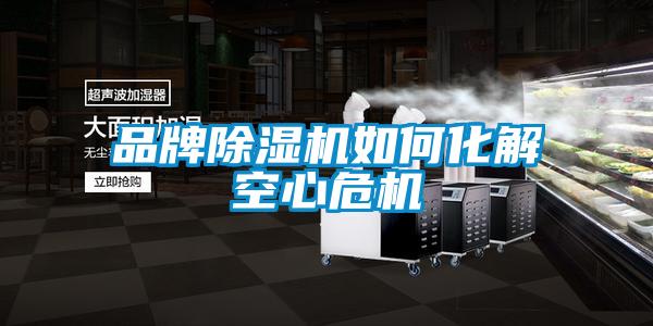 品牌除湿机如何化解空心危机