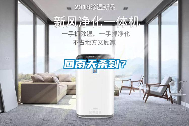 回南天杀到？