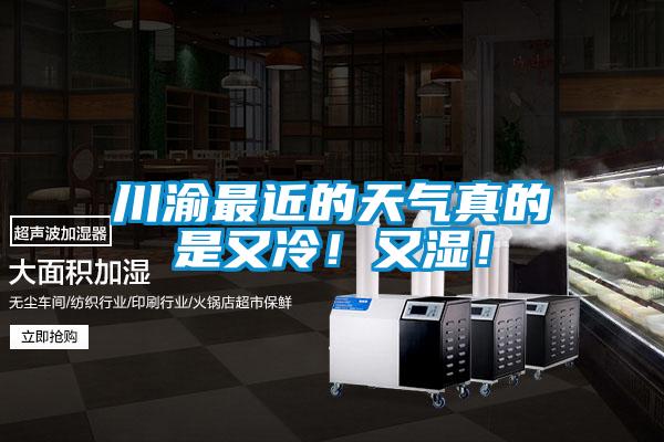 川渝最近的天气真的是又冷！又湿！