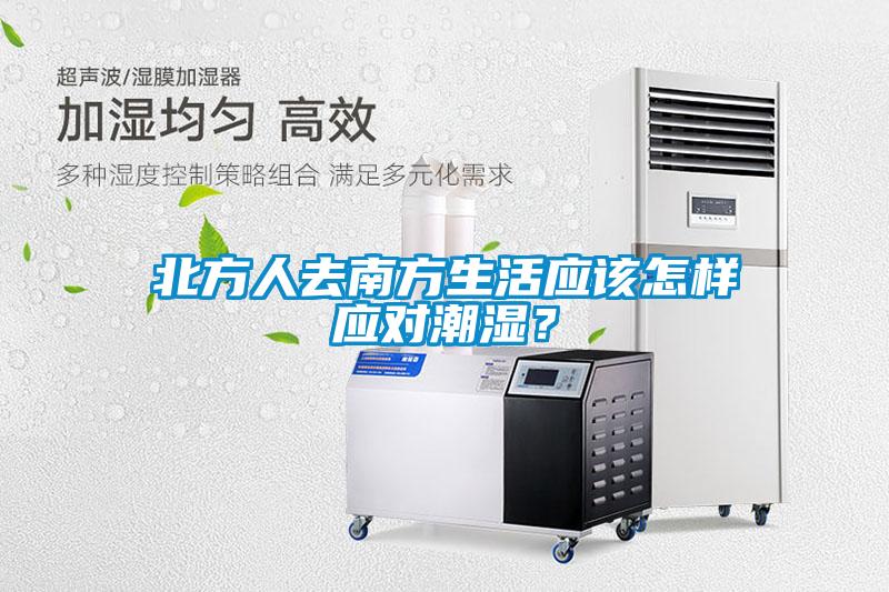 北方人去南方生活应该怎样应对潮湿？